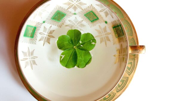 【開運ライフヒーリングコーチ】SNS疲れを卒業し売上142万円！スピリチュアル起業を成功させた『AI自動集客の学校』の仕組み